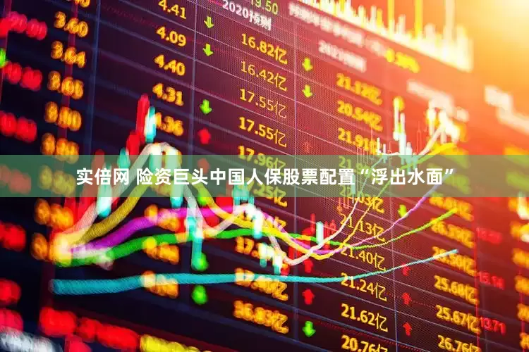 实倍网 险资巨头中国人保股票配置“浮出水面”