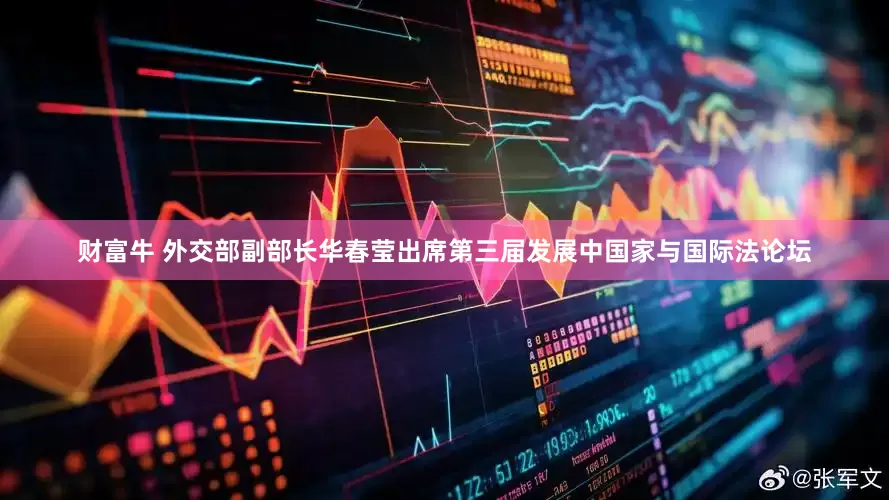 财富牛 外交部副部长华春莹出席第三届发展中国家与国际法论坛