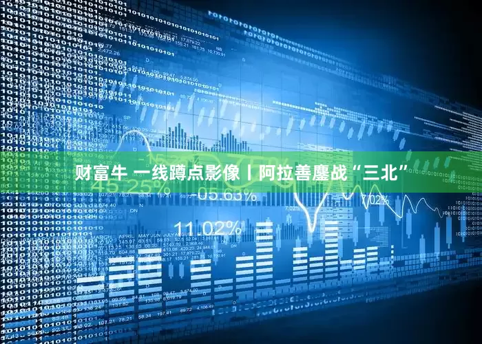 财富牛 一线蹲点影像丨阿拉善鏖战“三北”