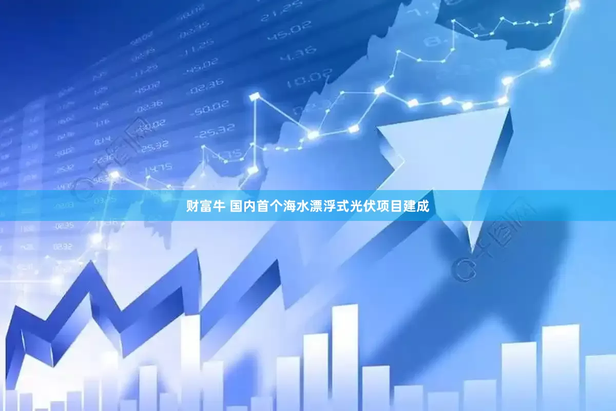 财富牛 国内首个海水漂浮式光伏项目建成
