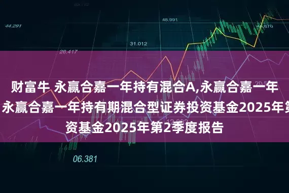 财富牛 永赢合嘉一年持有混合A,永赢合嘉一年持有混合C: 永赢合嘉一年持有期混合型证券投资基金2025年第2季度报告